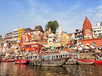 Wildlife tour of South India